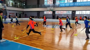 4 v 4 Floorball Rink - 30m x 15m, Non-IFF